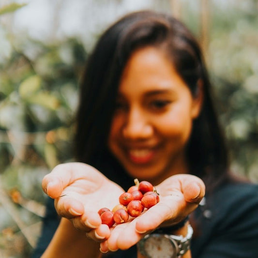 Women in the Coffee Industry