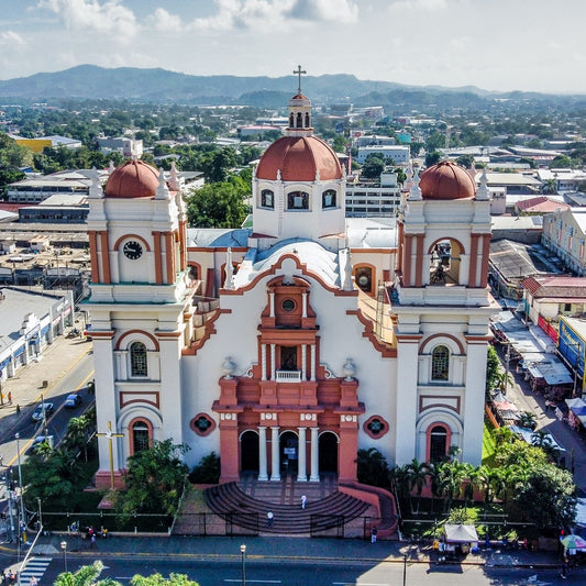 Honduras: Coffee from the depths of the rainforest