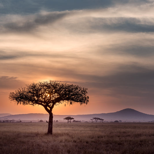 Tanzania: From Volcanic Depths