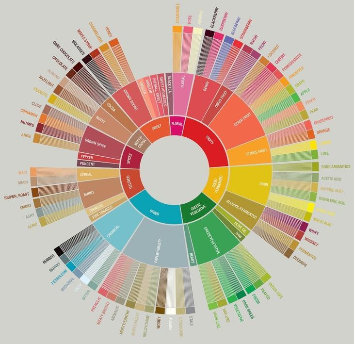 Flavor Profiles in Coffee